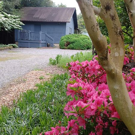 Restored1850S Log Cabin, With Gazebo And Gardens! 1 Mile To Downtown Weaverville Luaran gambar