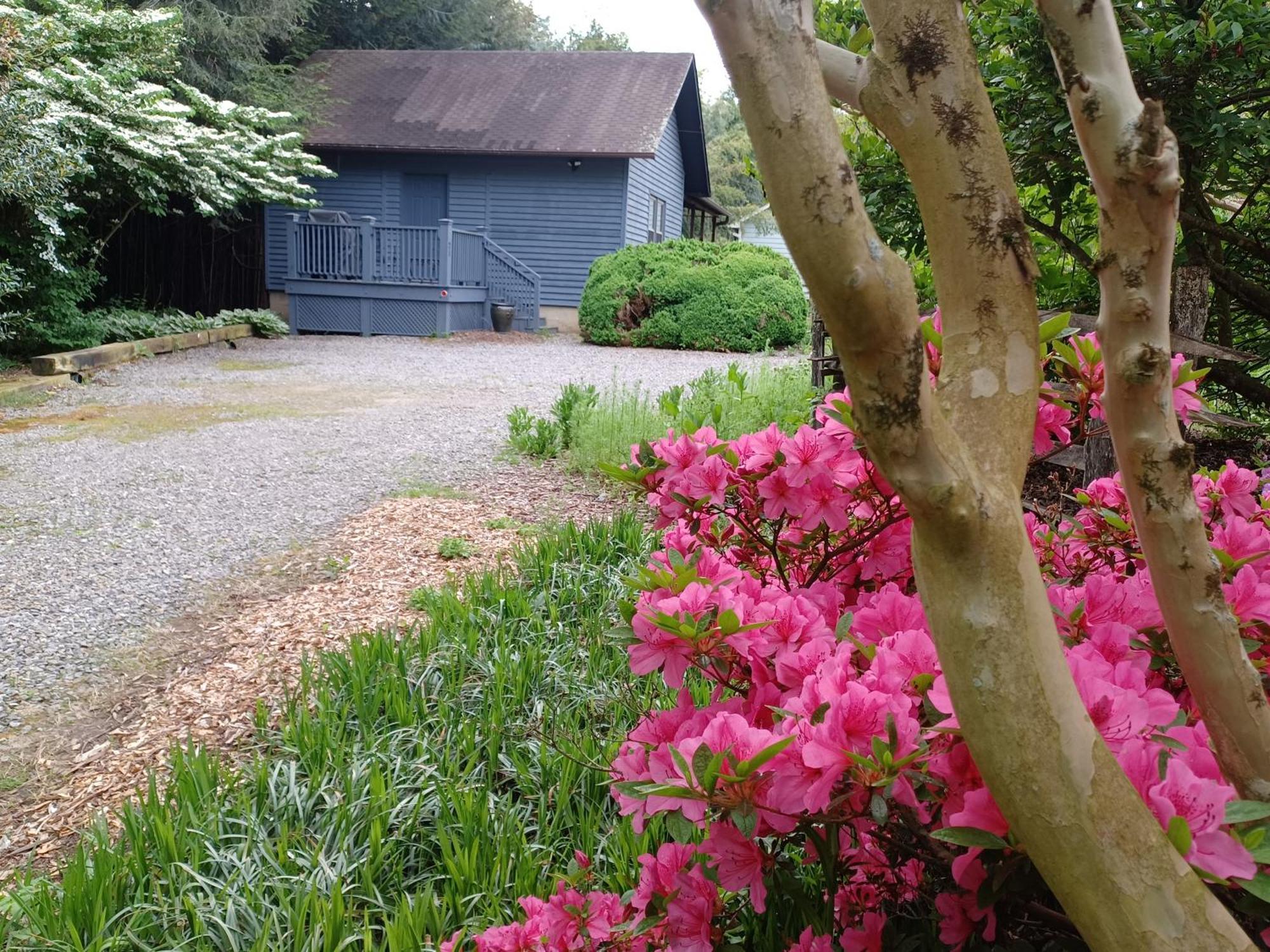 Restored1850S Log Cabin, With Gazebo And Gardens! 1 Mile To Downtown Weaverville Luaran gambar