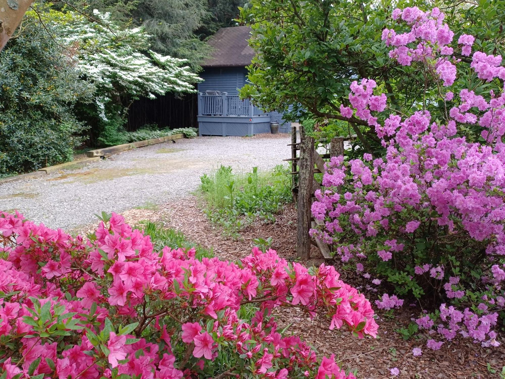 Restored1850S Log Cabin, With Gazebo And Gardens! 1 Mile To Downtown Weaverville Luaran gambar