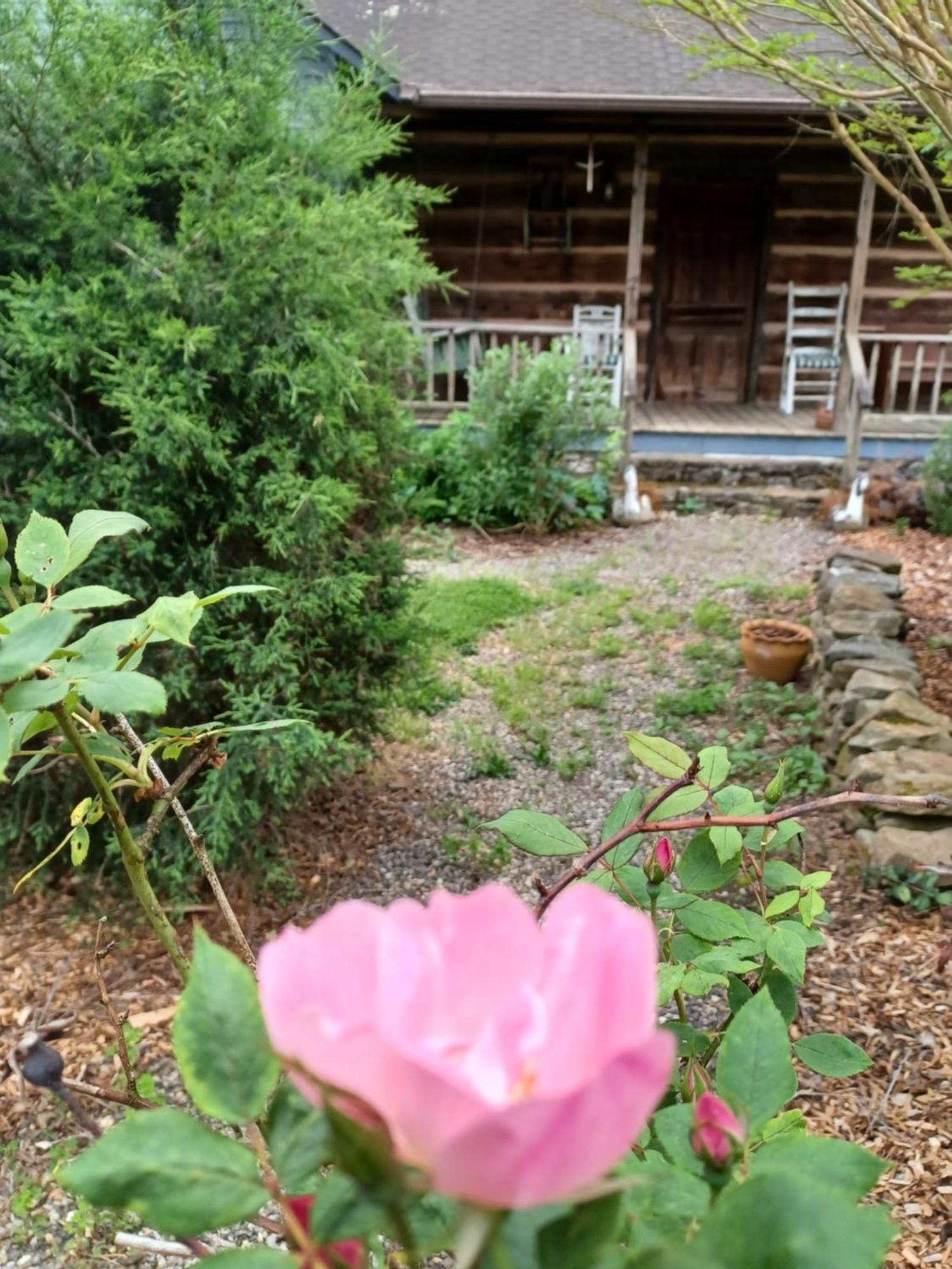 Restored1850S Log Cabin, With Gazebo And Gardens! 1 Mile To Downtown Weaverville Luaran gambar