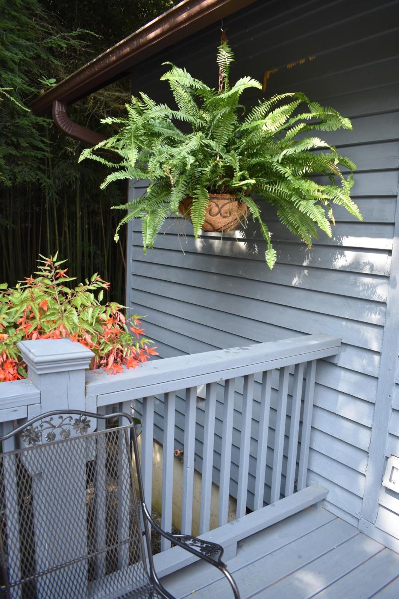Restored1850S Log Cabin, With Gazebo And Gardens! 1 Mile To Downtown Weaverville Luaran gambar