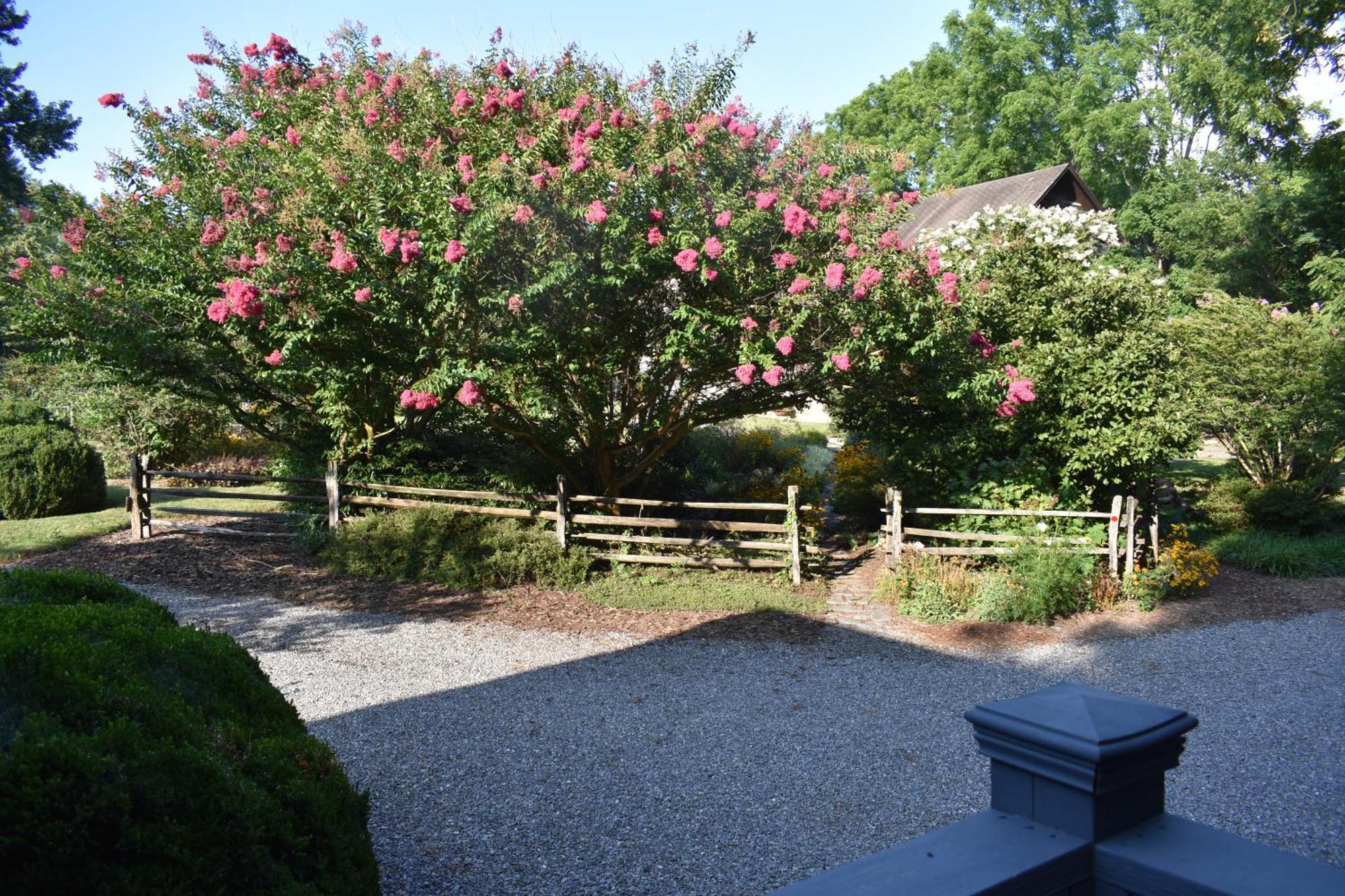Restored1850S Log Cabin, With Gazebo And Gardens! 1 Mile To Downtown Weaverville Luaran gambar
