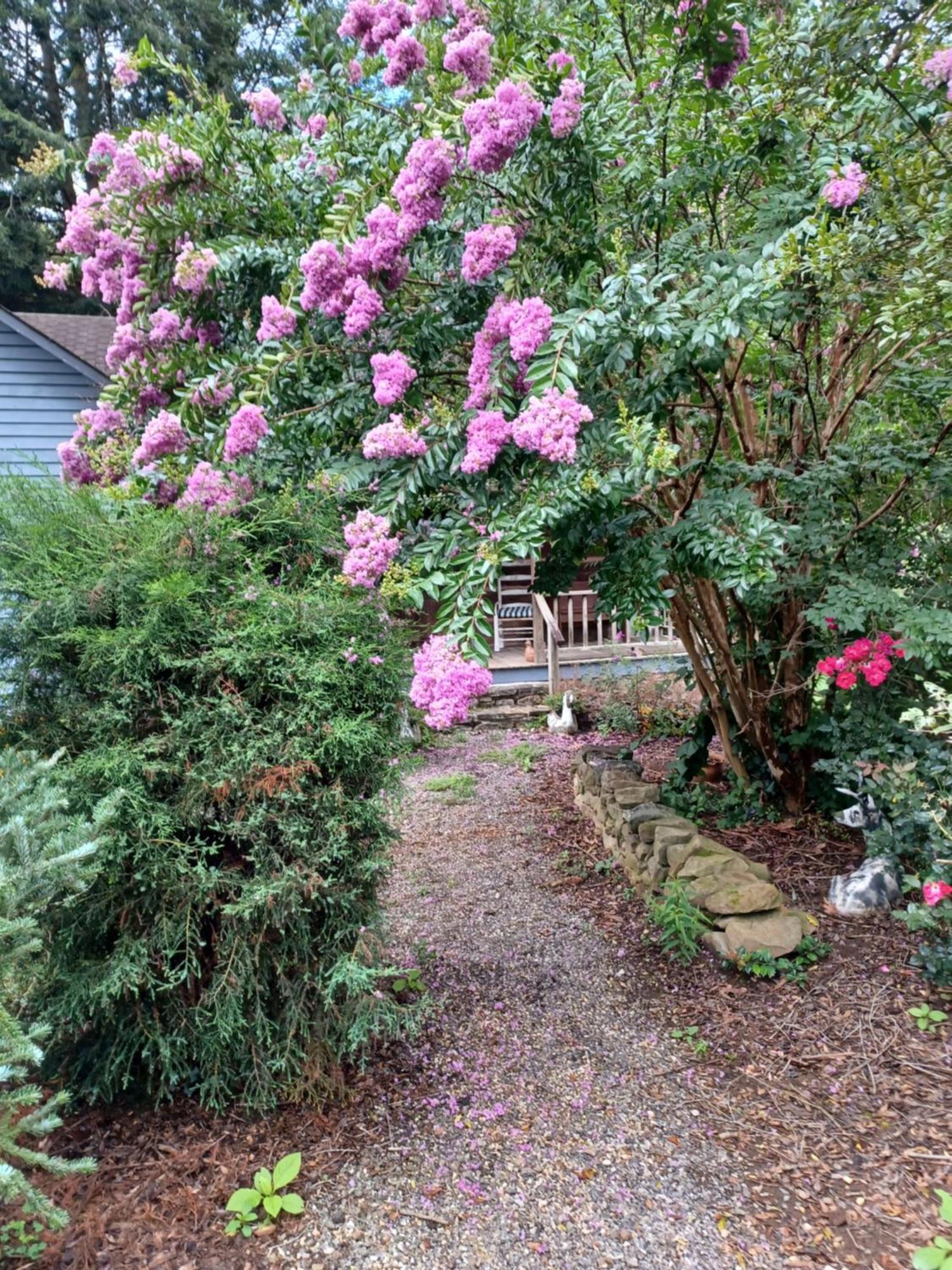 Restored1850S Log Cabin, With Gazebo And Gardens! 1 Mile To Downtown Weaverville Luaran gambar