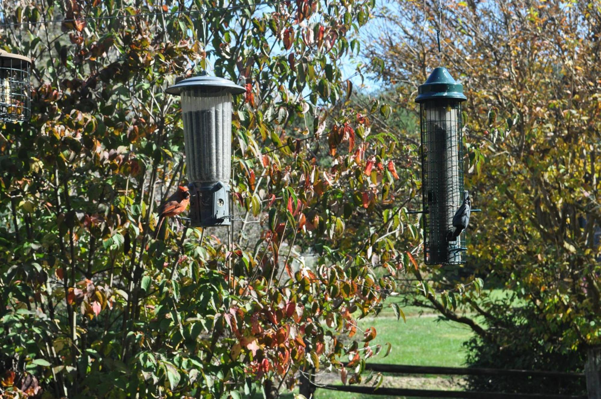 Restored1850S Log Cabin, With Gazebo And Gardens! 1 Mile To Downtown Weaverville Luaran gambar